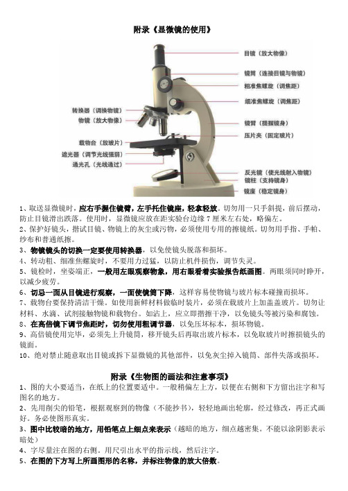 显微镜的使用要点以及生物图的画法