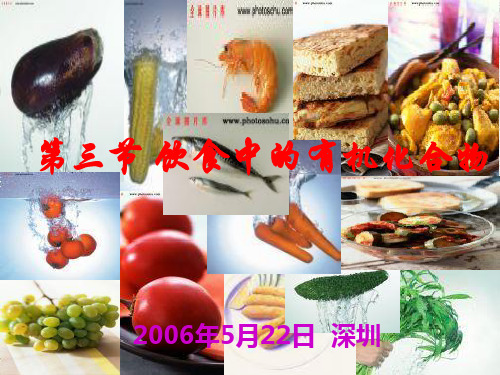 饮食中的有机物乙醇.ppt