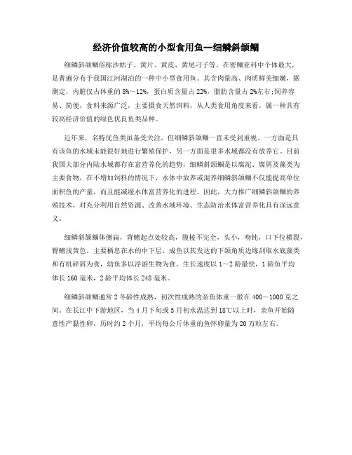 经济价值较高的小型食用鱼--细鳞斜颌鲴