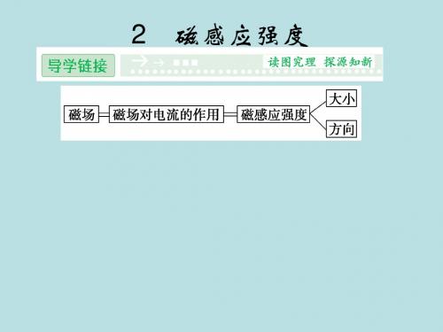 选修3-1 3.2磁感应强度 课件