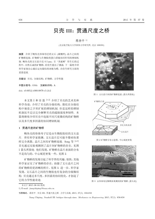 贝壳III贯通尺度之桥