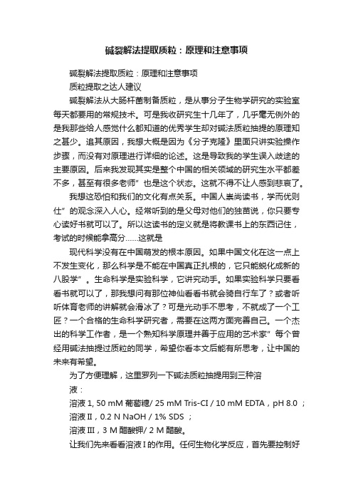 碱裂解法提取质粒：原理和注意事项