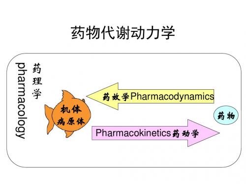 药动学 PPT课件