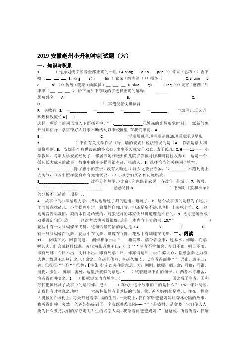 人教课标版六年级下册语文试题 2019安徽亳州小升初冲刺试题六含答案