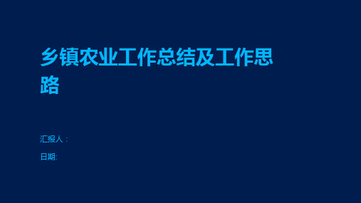 乡镇农业工作总结及工作思路