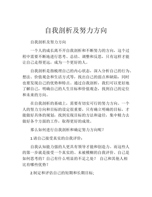 自我剖析及努力方向