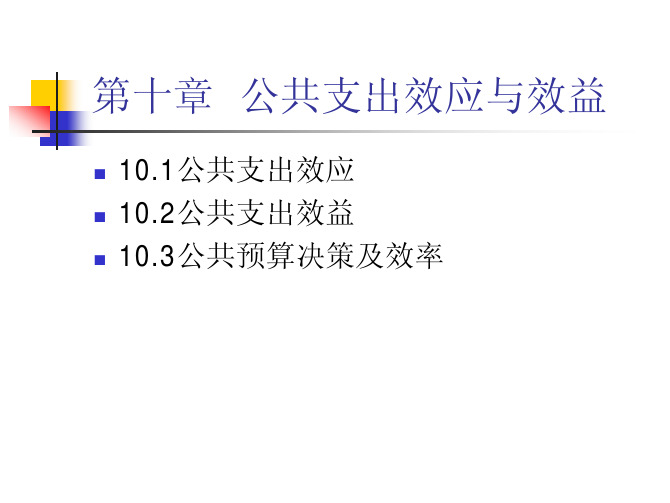 公共经济学课件第十章公共支出效应与效益