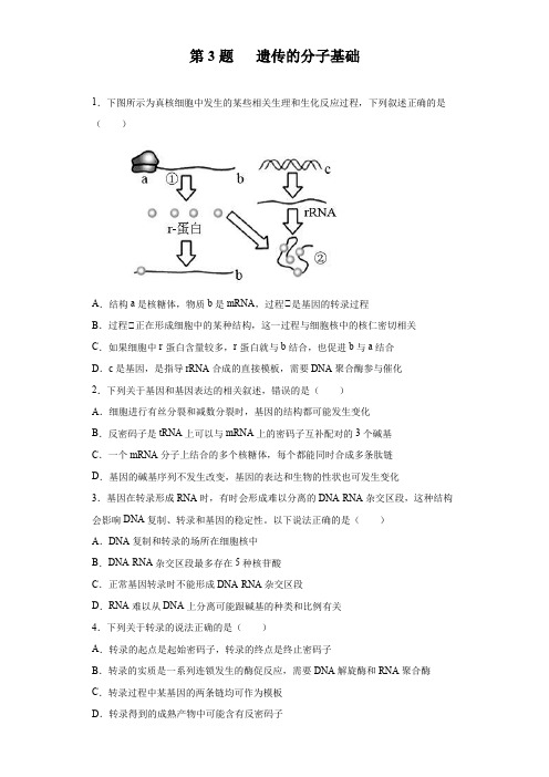 第3题 遗传的分子基础-2020年高考生物逐题必刷200题(原卷版)