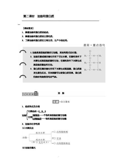 人教版高一化学必修2讲义：第三章 第四节 第二课时 油脂和蛋白质含答案