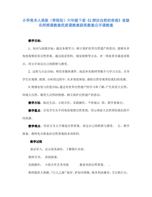 小学美术人美版(常锐伦)六年级下册《2.探访自然的奇观》省级名师授课教案优质课教案获奖教案公开课教案13