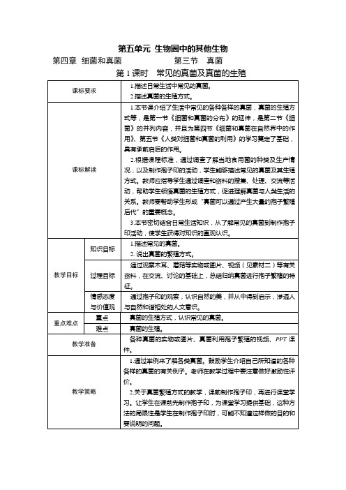 真菌教案25