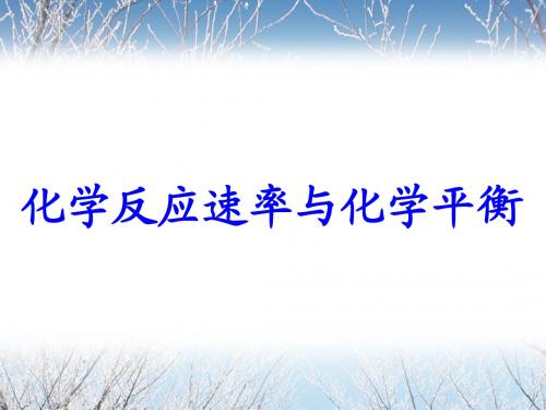 化学反应速率(快慢、程度、方向).ppt