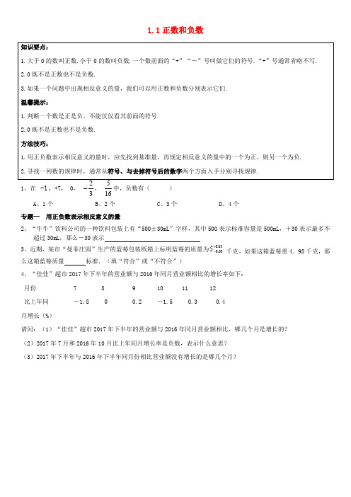 七年级数学上册 第一章《有理数》1.1 正数和负数能力培优讲义 (新版)新人教版