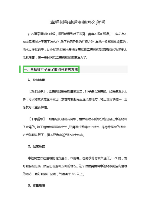 幸福树移栽后变蔫怎么救活