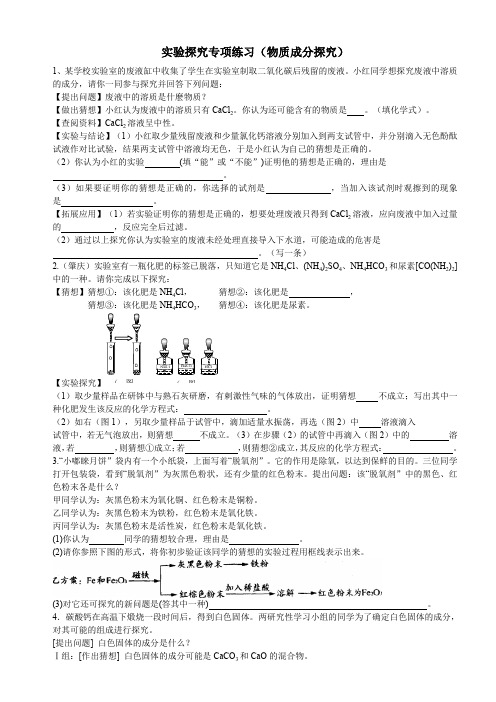 九年化学中考题实验探究专项练习(物质成分探究)