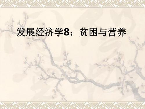 发展经济学8：贫困与营养ppt课件