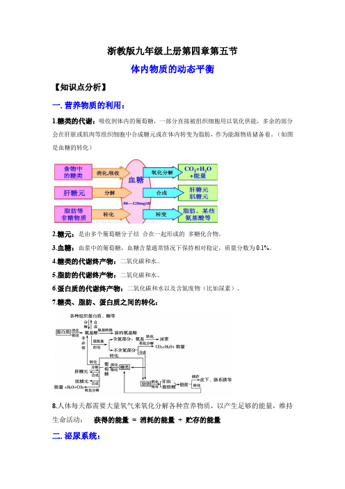 3.5体内物质的动态平衡(讲义)