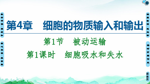 【新教材】细胞吸水和失水 课件 【新教材】人教版高中生物必修第一册