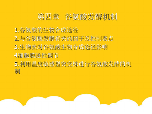 谷氨酸发酵机制实用PPT文档