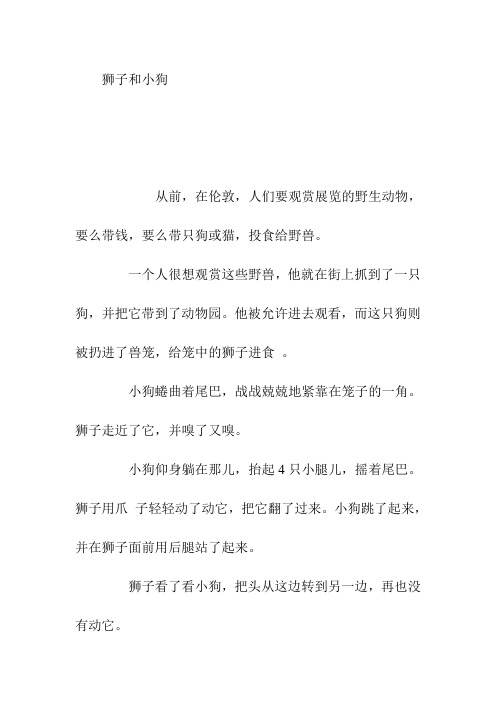 狮子和小狗优秀文章