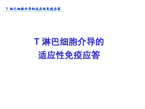 T 淋巴细胞介导的适应性免疫应答