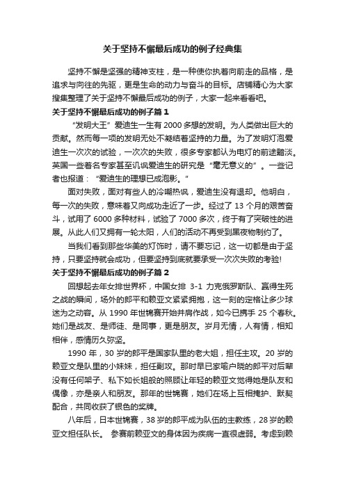 关于坚持不懈最后成功的例子经典集