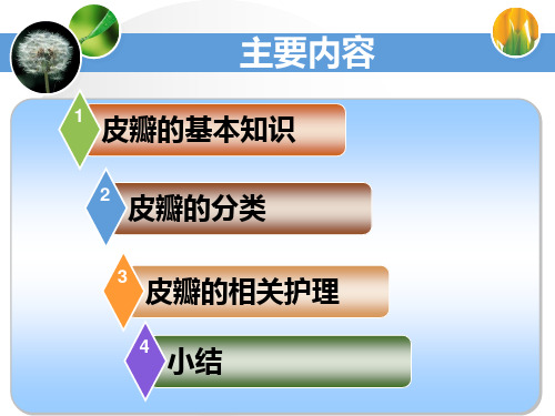 皮瓣的相关知识共67页