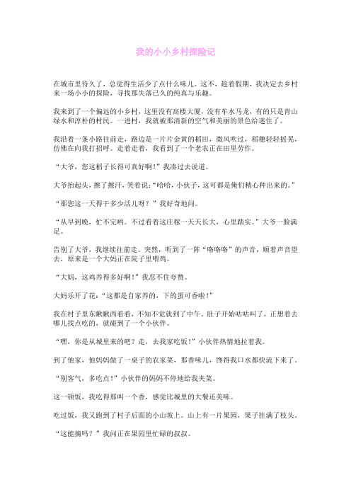 我的小小乡村探险记