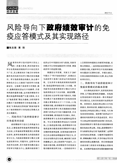 风险导向下政府绩效审计的免疫应答模式及其实现路径