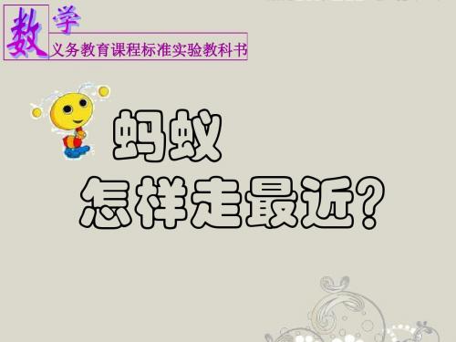 八年级数学上册《蚂蚁怎样走最近》课件-北师大版