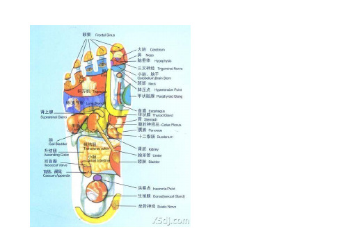 足部穴位图(附详解)