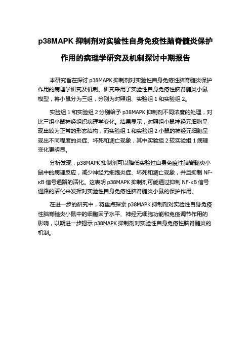 p38MAPK抑制剂对实验性自身免疫性脑脊髓炎保护作用的病理学研究及机制探讨中期报告