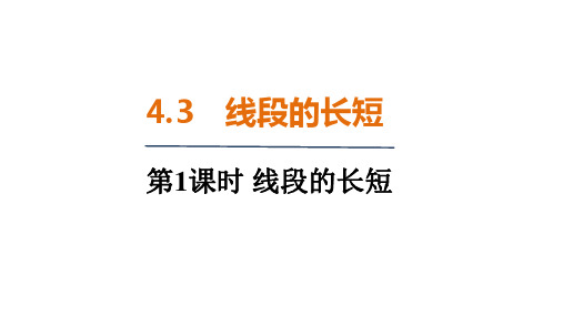 4.3 线段的长短 (课件)2024-2025 沪科版(2024)数学七年级上册