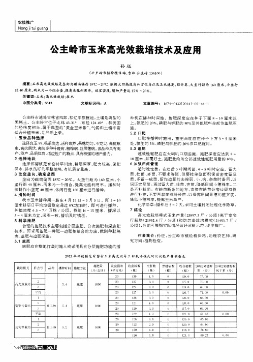 公主岭市玉米高光效栽培技术及应用