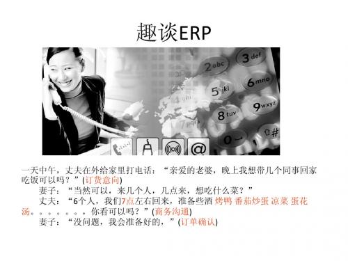 趣谈ERP1