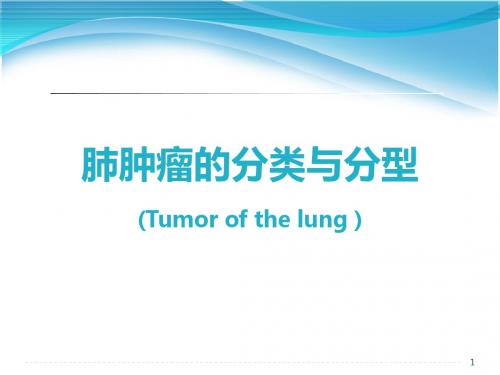 肺肿瘤分类 PPT课件