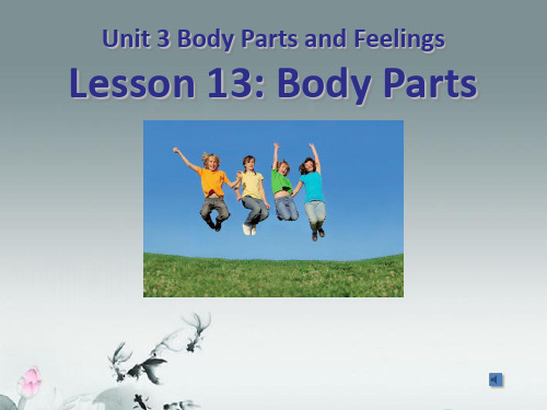 冀教版七年级英语上 Unit 3 Lesson 13 Body Parts 教学课件 (共24张PP