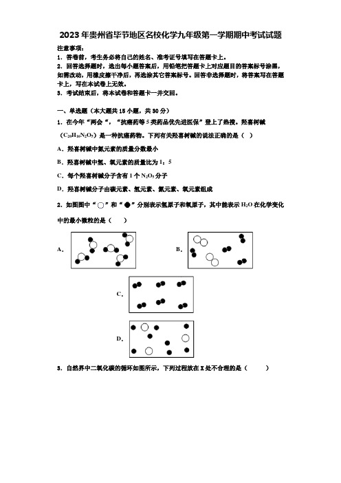 2023年贵州省毕节地区名校化学九年级第一学期期中考试试题含解析