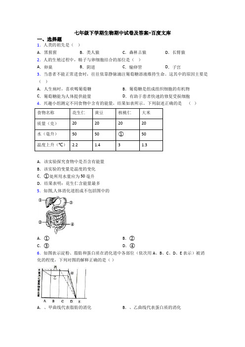 七年级下学期生物期中试卷及答案-百度文库