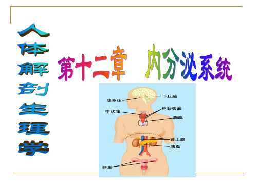 内分泌(药学)
