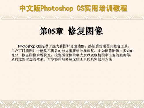 中文版PhotoshopCS实用培训教程第05章修复图像PPT课件