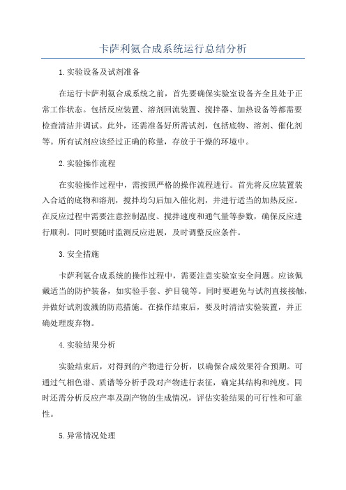 卡萨利氨合成系统运行总结分析