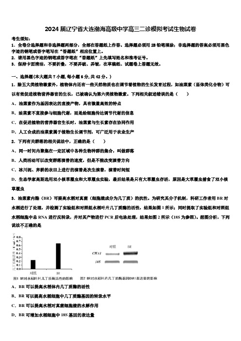 2024届辽宁省大连渤海高级中学高三二诊模拟考试生物试卷含解析