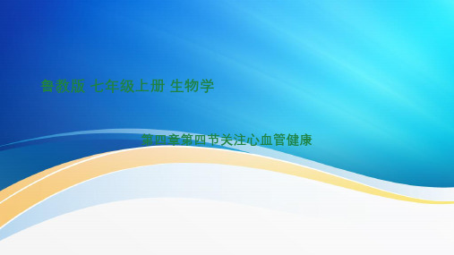 4.4.4 关注心血管健康2023-2024学年鲁科版生物七年级上册精品课件