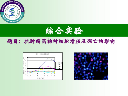 细胞生物学实验-综合实验