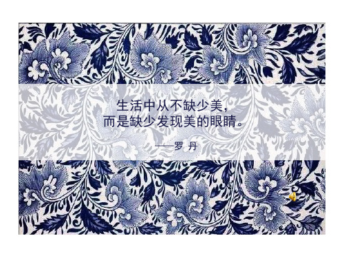 《蓝白之美》课件 (1)