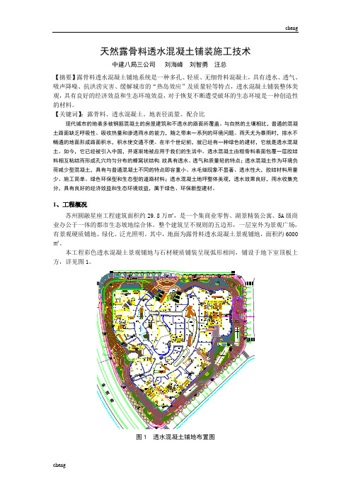 露骨透水【混凝土】