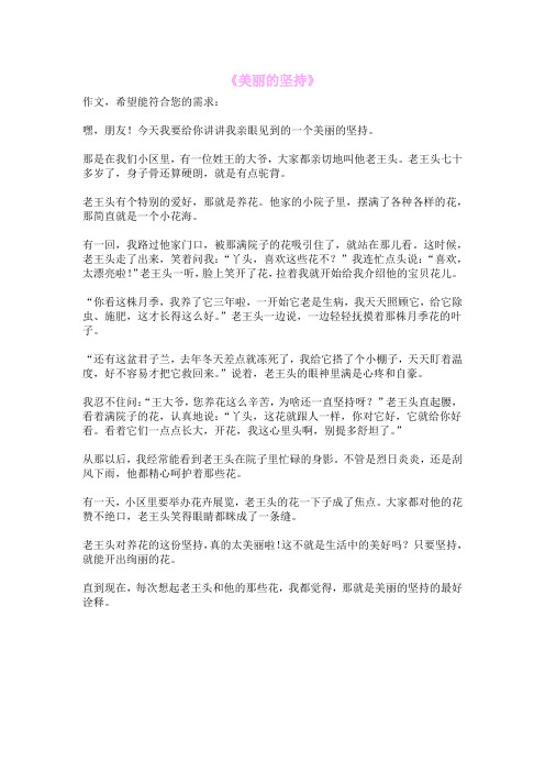 《美丽的坚持》