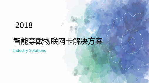 智能穿戴物联网卡解决方案PPT课件