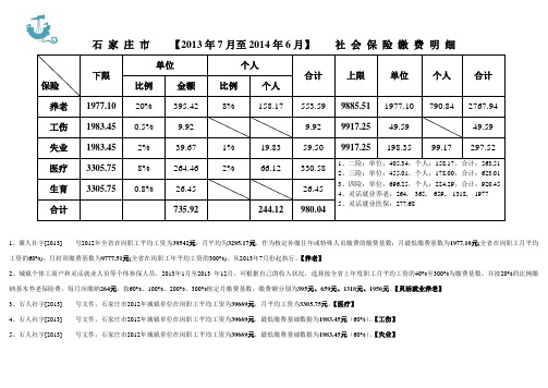 石家庄市2013社保缴费明细表